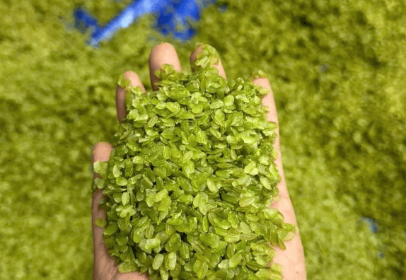 World's Second-Largest Rice Exporter Was Paralyzed by the War