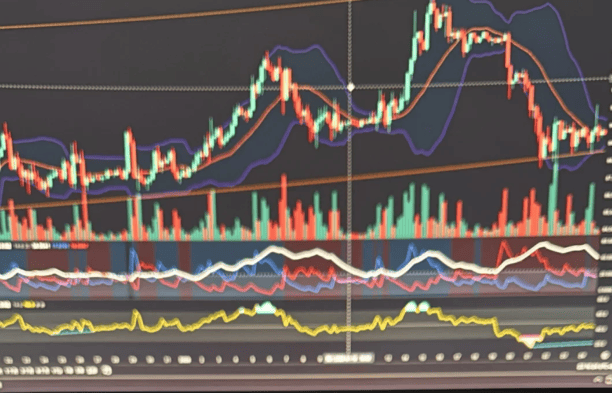 The Disciplined Investor: Turning Market Cycles into Opportunity